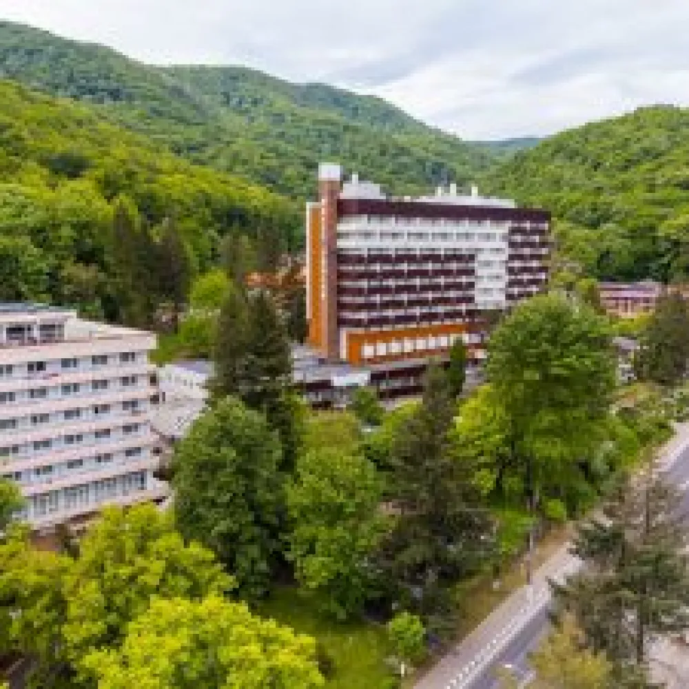 Hotel Traian - Calimanesti Caciulata
