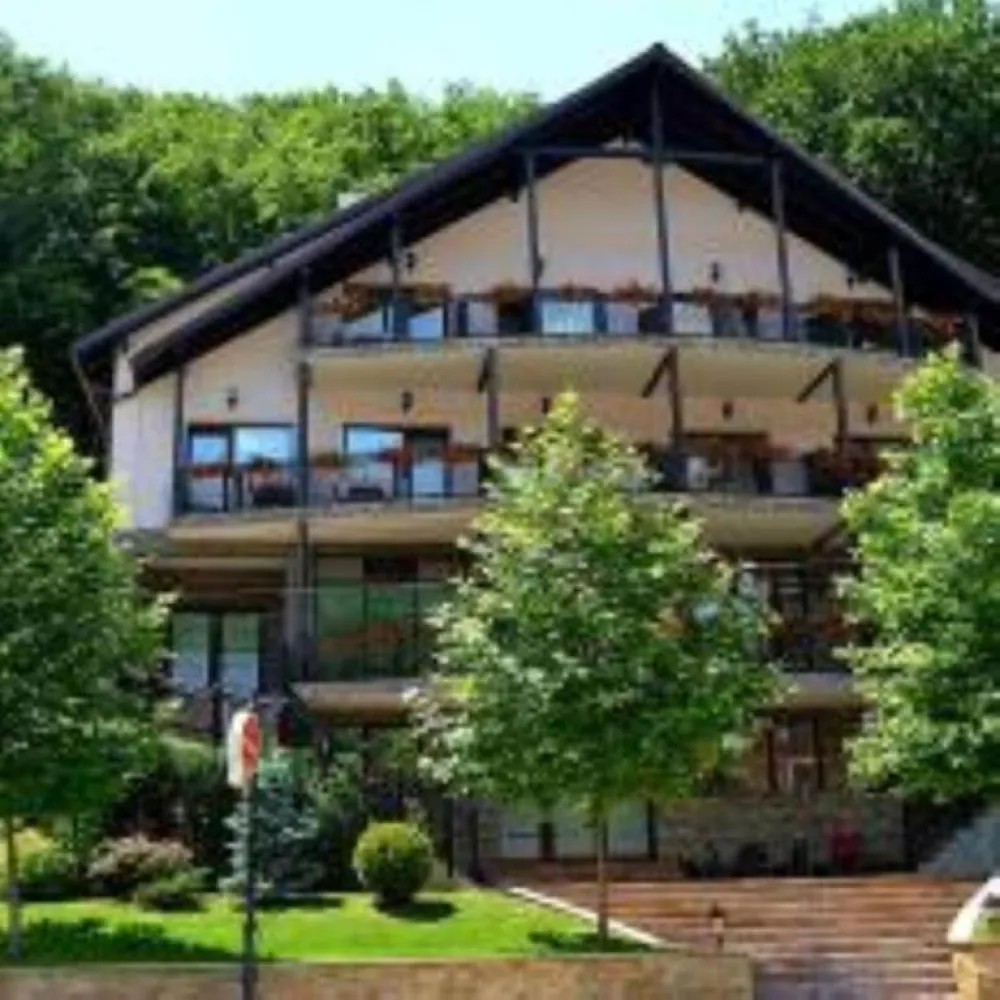 Hotel Bucura - Calimanesti Caciulata